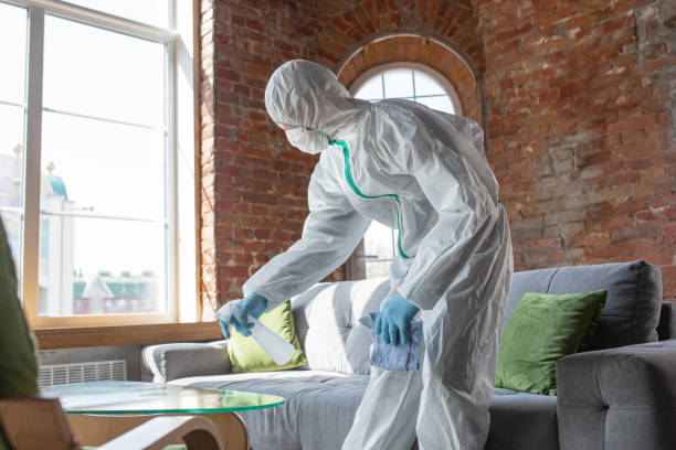 Why You Should Choose Our Mold Remediation Services in Bay St Louis, MS